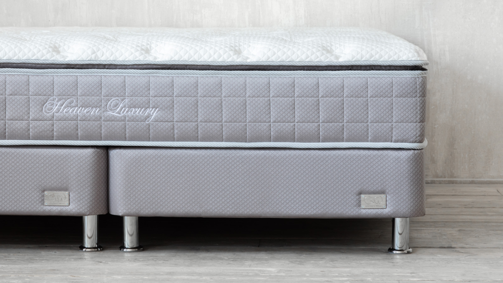 scale_1200 (2) (1).png
